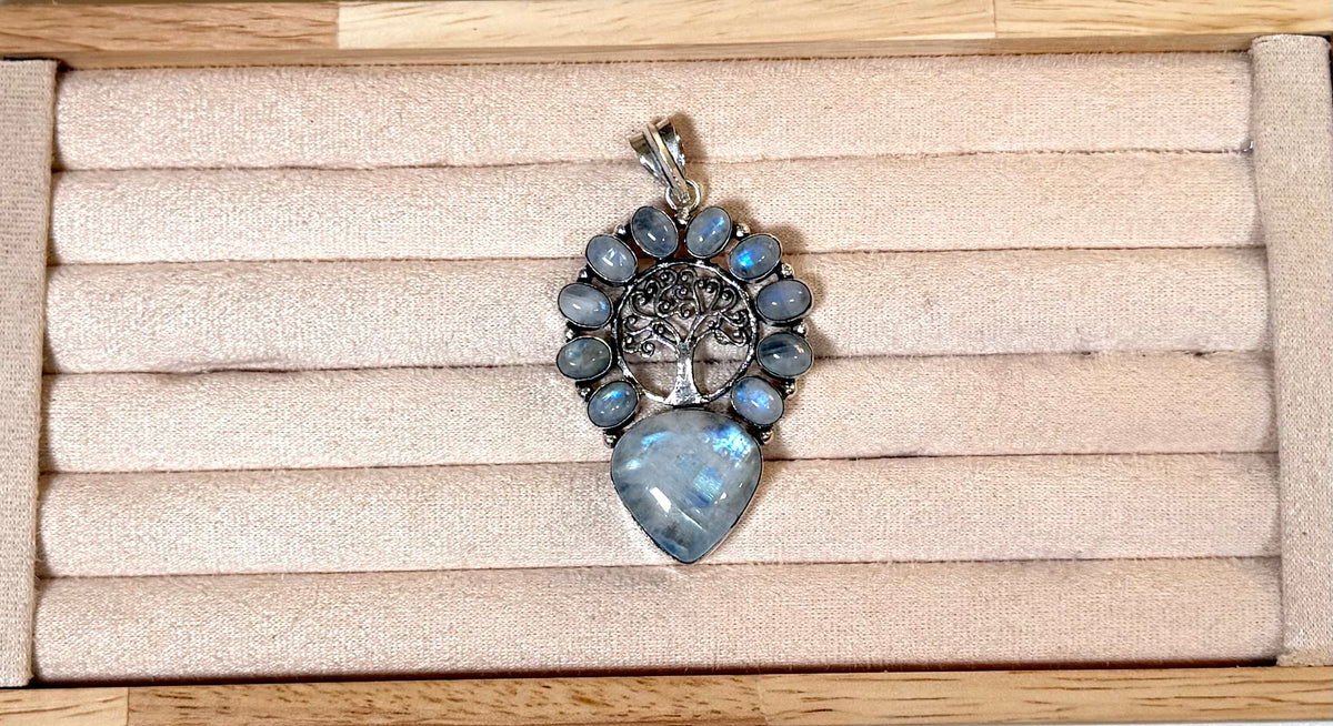 Mee Bee 9/25
